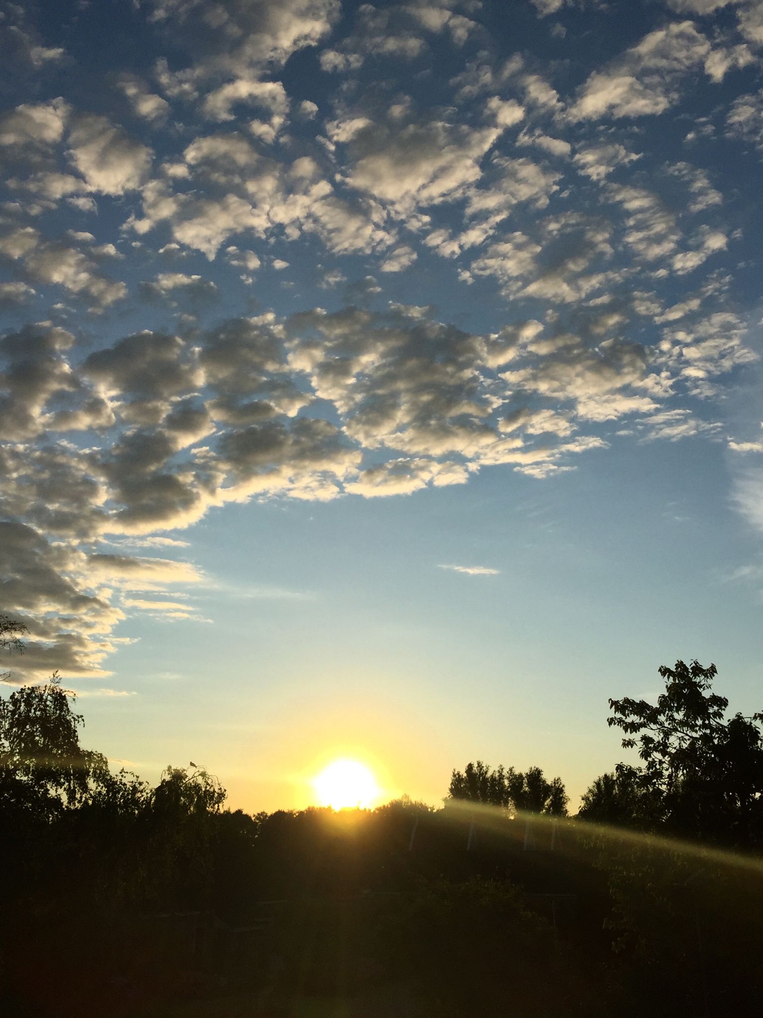 Zonsondergang Limburg graanveld  - Eiko Waleson